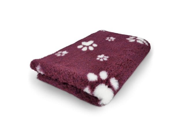 Bordeaux mit weißen Pfoten -Vet Bed